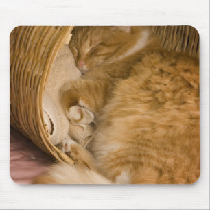 Alfombrilla De Ratón Gato atigrado naranja durmiendo en cesto