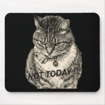 Gato atigrado "Tude "NO HOY"