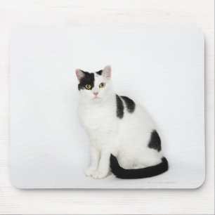 Alfombrilla De Ratón Gato blanco con los puntos negros