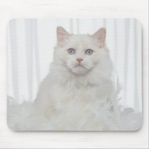 Alfombrilla De Ratón Gato blanco con plumas