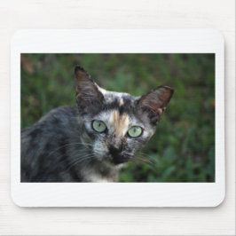 Alfombrilla De Ratón Gato blanco gris marrón con ojos verdes