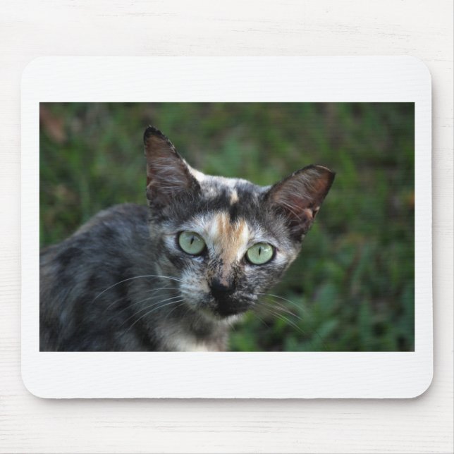 Alfombrilla De Ratón Gato blanco gris marrón con ojos verdes (Frente)