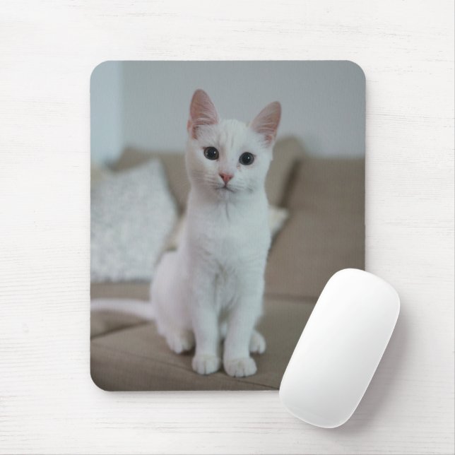 Alfombrilla De Ratón Gato blanco | Zazzle_Growshop. (Con ratón)