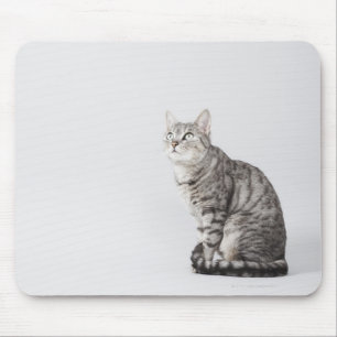 Alfombrilla De Ratón Gato buscando