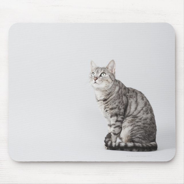 Alfombrilla De Ratón Gato buscando (Frente)