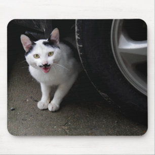 Alfombrilla De Ratón Gato con bigote