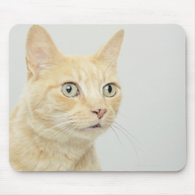 Alfombrilla De Ratón Gato con los ojos abiertos (Frente)