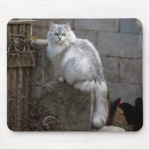 Alfombrilla De Ratón Gato de angora gris-blanco