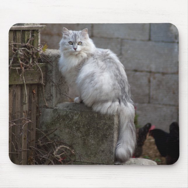 Alfombrilla De Ratón Gato de angora gris-blanco (Frente)