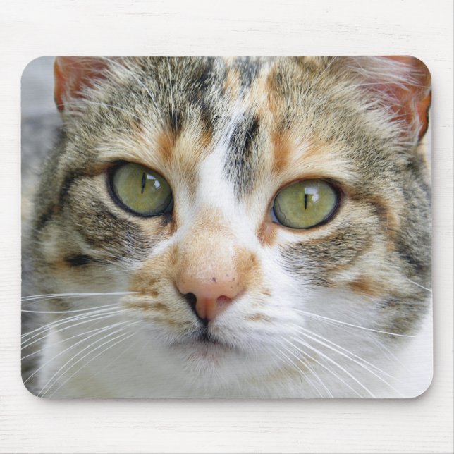 Alfombrilla De Ratón Gato de calicó Mousepad (Frente)