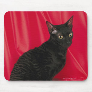 Alfombrilla De Ratón Gato de Cornualles del rex