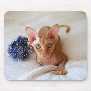 Alfombrilla De Ratón Gato de esfinge con Mousepad de insel azul