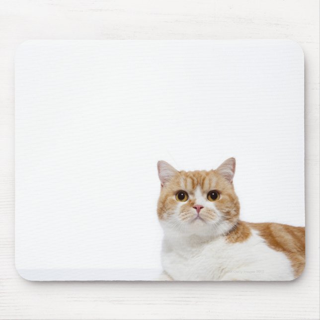Alfombrilla De Ratón Gato de hueso escocés (Frente)