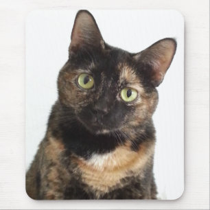 Alfombrilla De Ratón Gato de la concha
