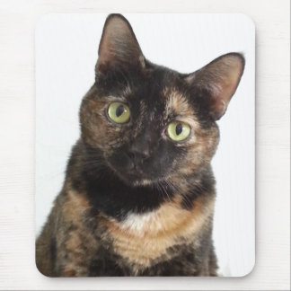 Alfombrilla De Ratón Gato de la concha