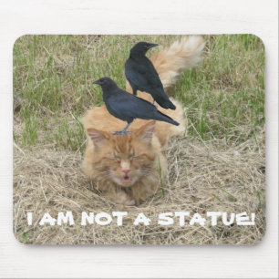Alfombrilla De Ratón ¿Gato de la estatua?
