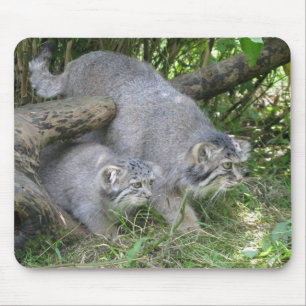Alfombrilla De Ratón Gato de Mousepad - de Pallas
