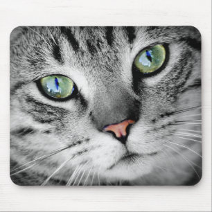 Alfombrilla De Ratón Gato de ojos