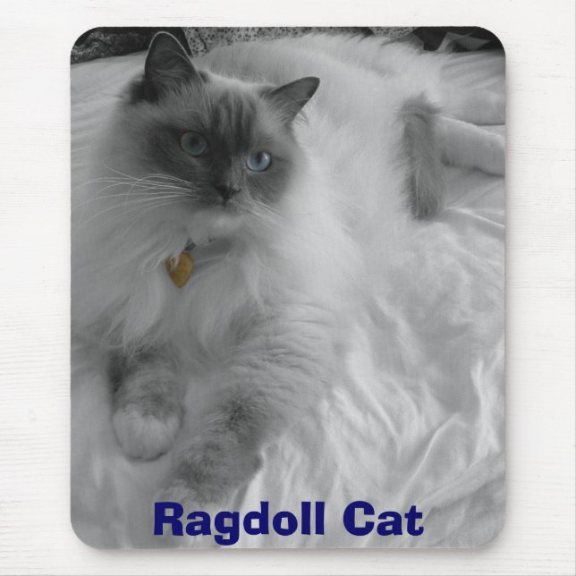 Alfombrilla De Ratón Gato de Ragdoll (Frente)