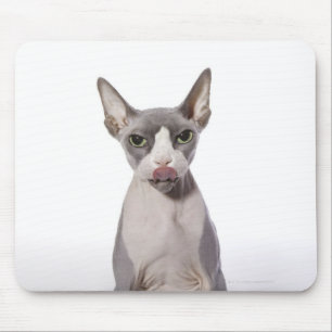 Alfombrilla De Ratón Gato de Sphynx con la lengua hacia fuera