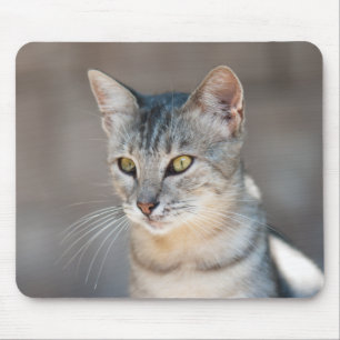 Alfombrilla De Ratón Gato de Tabby
