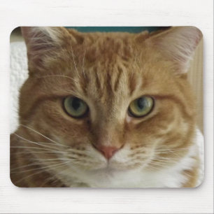 Alfombrilla De Ratón Gato de Tabby anaranjado Mousepad