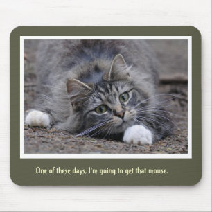 Alfombrilla De Ratón Gato de Tabby divertido que va a conseguir ese