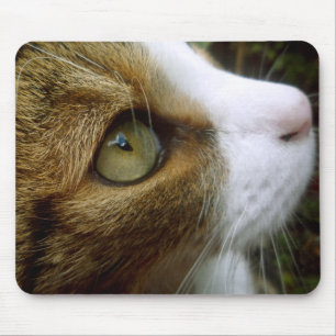 Alfombrilla De Ratón Gato de Tabby Mousepad