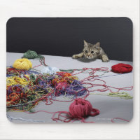 Gato de tabby plateado trepando sobre el borde de 