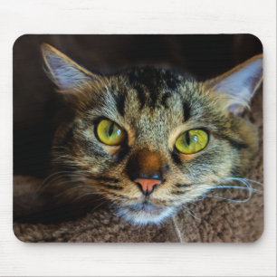 Alfombrilla De Ratón Gato de tabla de flauta suave