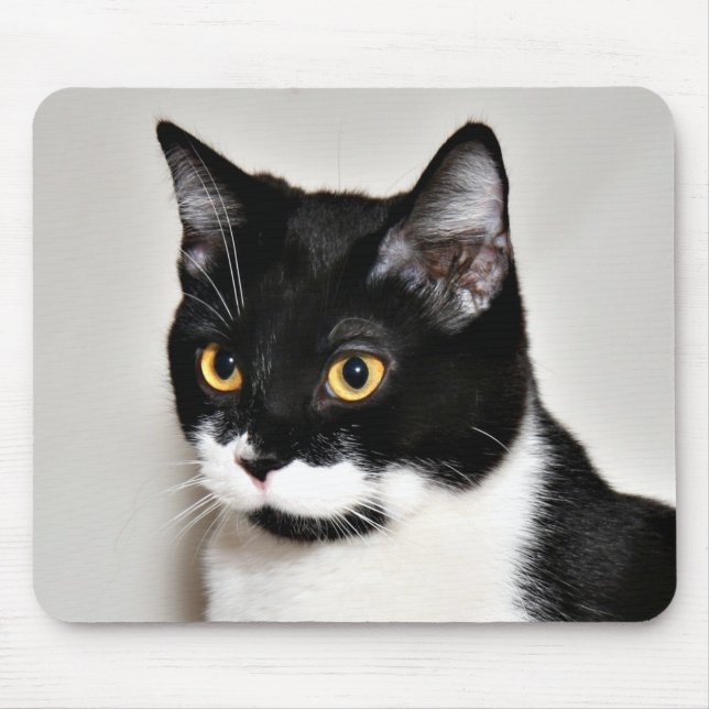 Alfombrilla De Ratón Gato de Tuxedo (Frente)
