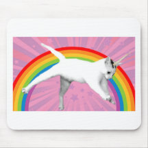 Gato del arco iris del unicornio