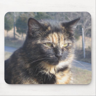 Alfombrilla De Ratón Gato dignificado