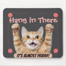 Gato divertido ¡Ánimo, ya casi es viernes! 