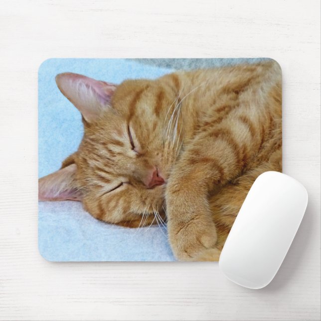 Alfombrilla De Ratón Gato durmiente (Con ratón)