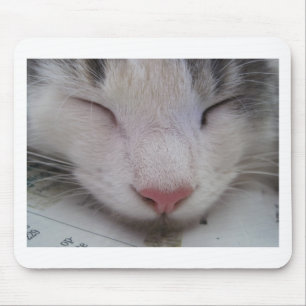 Alfombrilla De Ratón Gato durmiente