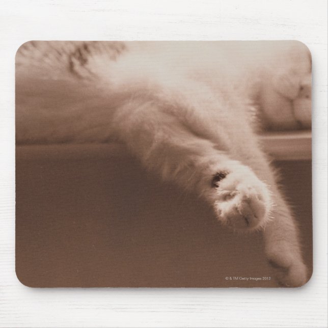 Alfombrilla De Ratón Gato durmiente (Frente)