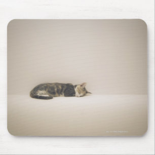 Alfombrilla De Ratón Gato el dormir