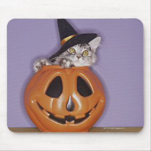 Alfombrilla De Ratón Gato en gorra de brujas dentro de la calabaza
