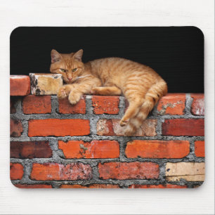 Alfombrilla De Ratón Gato en la pared de ladrillo