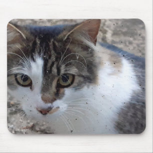 Alfombrilla De Ratón Gato en la ventana