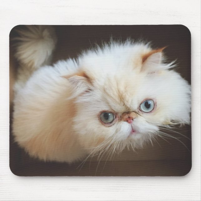 Alfombrilla De Ratón Gato en una caja (Frente)