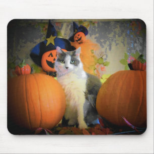 Alfombrilla De Ratón Gato entre calzas