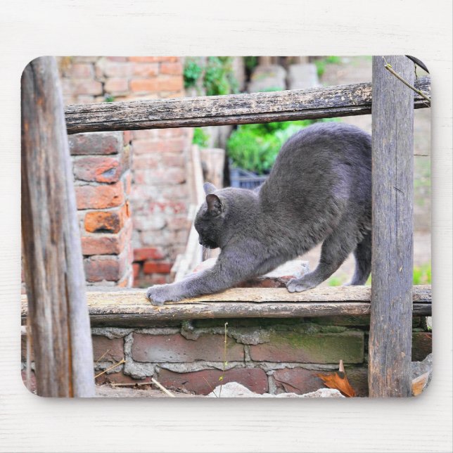 Alfombrilla De Ratón Gato estirándose (Frente)