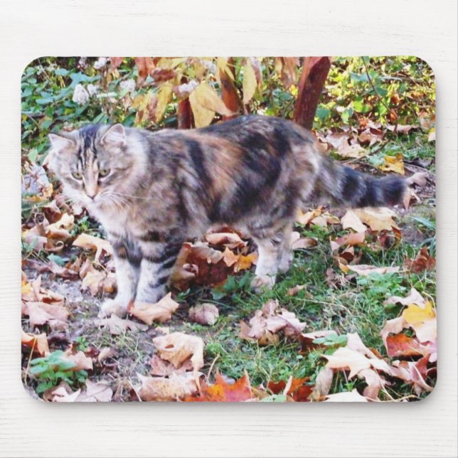 Alfombrilla De Ratón Gato Feral en Mousepad de otoño (Frente)