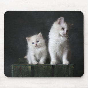 Alfombrilla De Ratón gato, gatito, felino