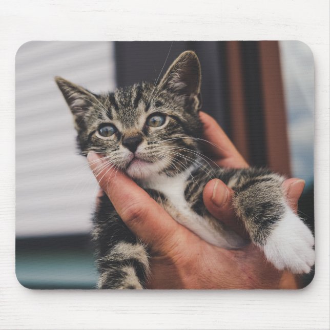 Alfombrilla De Ratón gato, gatito, mano (Frente)