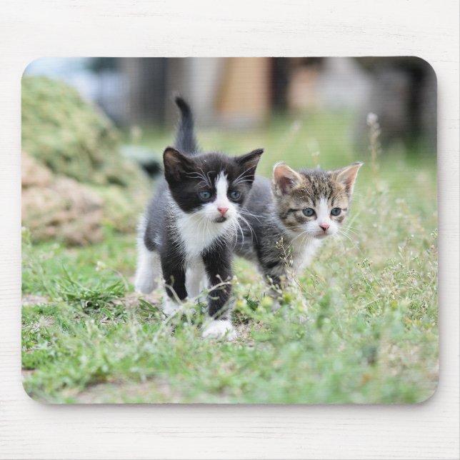 Alfombrilla De Ratón gato, gatito, mascota (Frente)