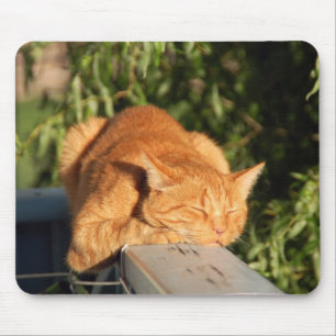 Alfombrilla De Ratón gato, gato rojo, mascota