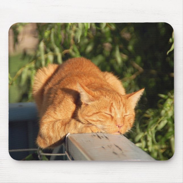 Alfombrilla De Ratón gato, gato rojo, mascota (Frente)